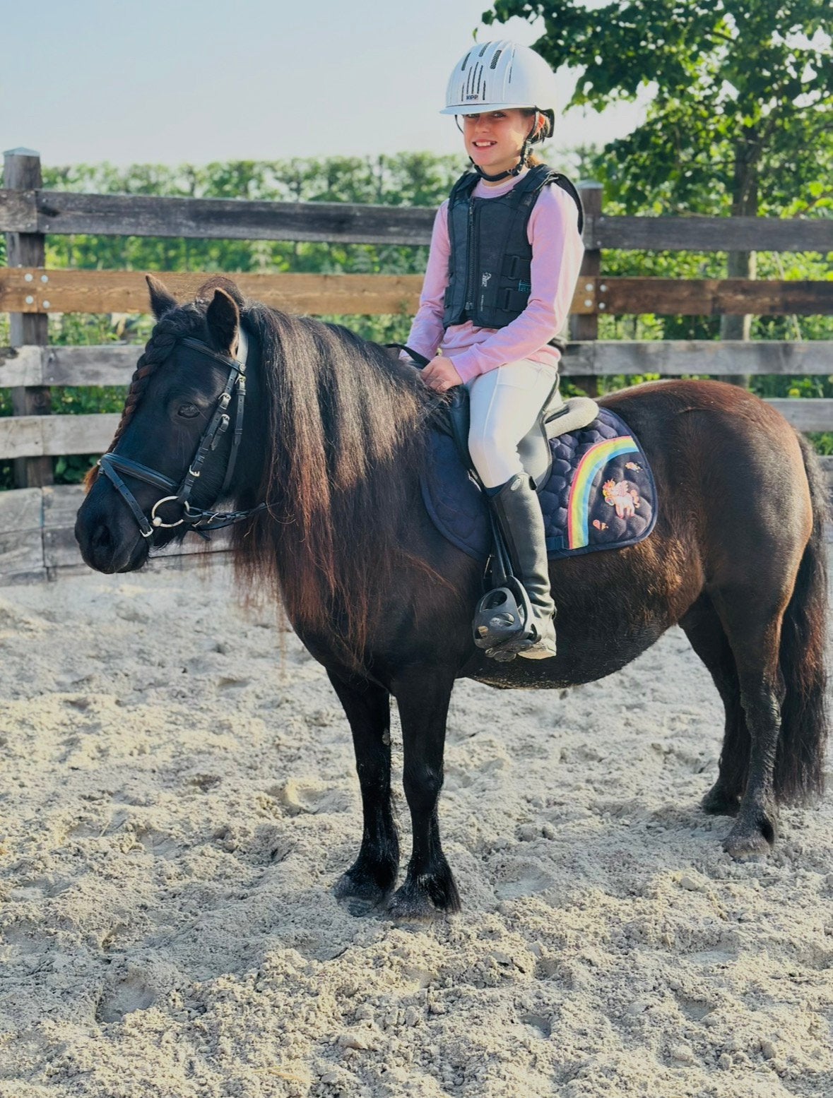 Mega knappe grote shetlander merrie, Dieren en Toebehoren, Pony's, Merrie, Zadelmak, A pony (tot 1.17m), Recreatiepony, 7 tot 10 jaar