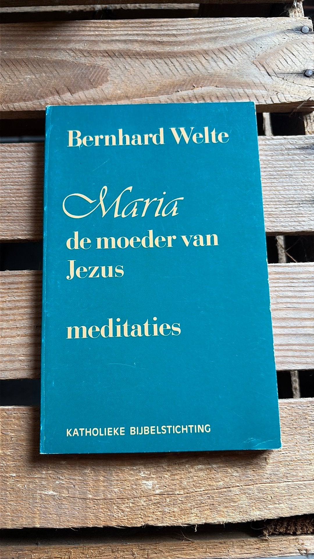 Maria, de moeder van Jezus - meditaties, Livres, Religion & Théologie, Enlèvement, Comme neuf
