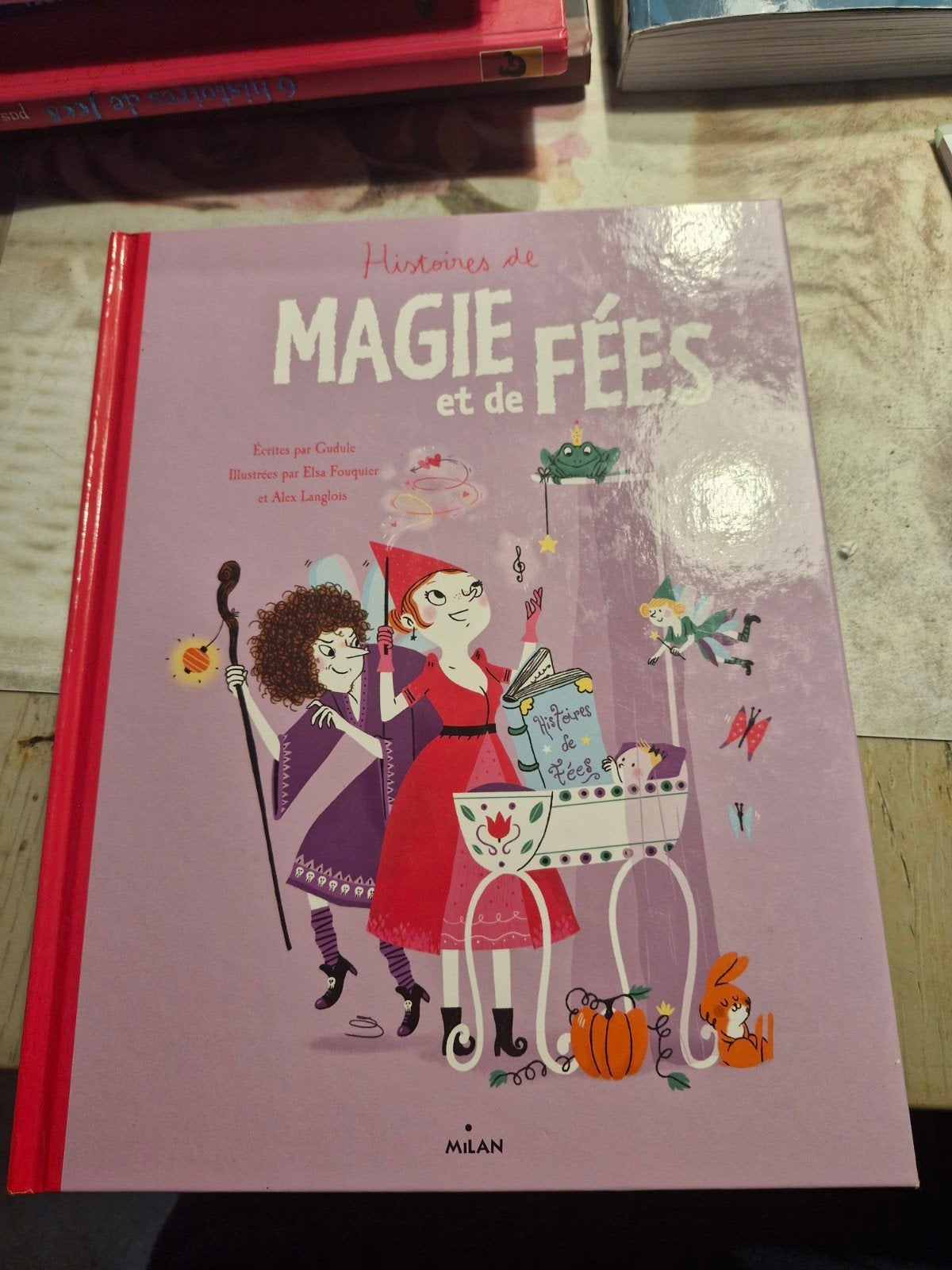 livre histoires de magie et de fees en bonne etat, Boeken, Ophalen of Verzenden, Zo goed als nieuw