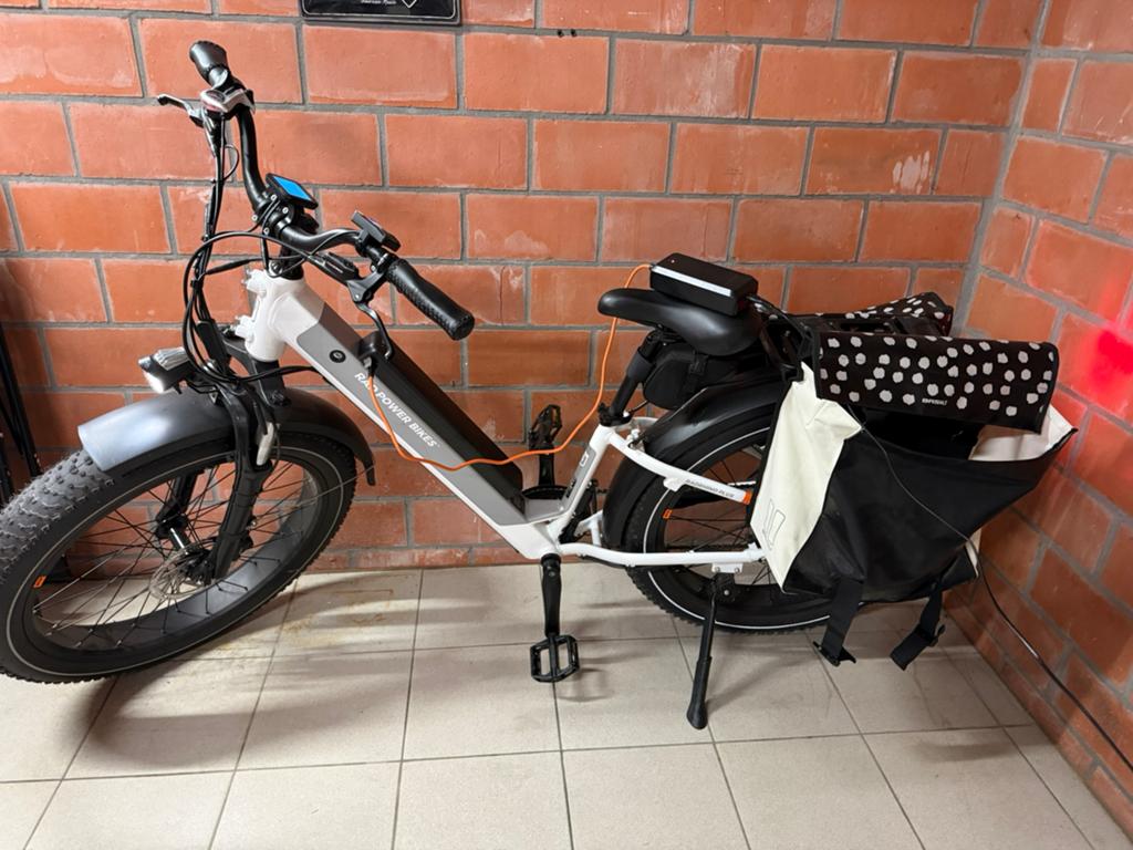 RadRhino 6 Plus Step-Thru, Fietsen en Brommers, Elektrische fietsen, Zo goed als nieuw, Ophalen