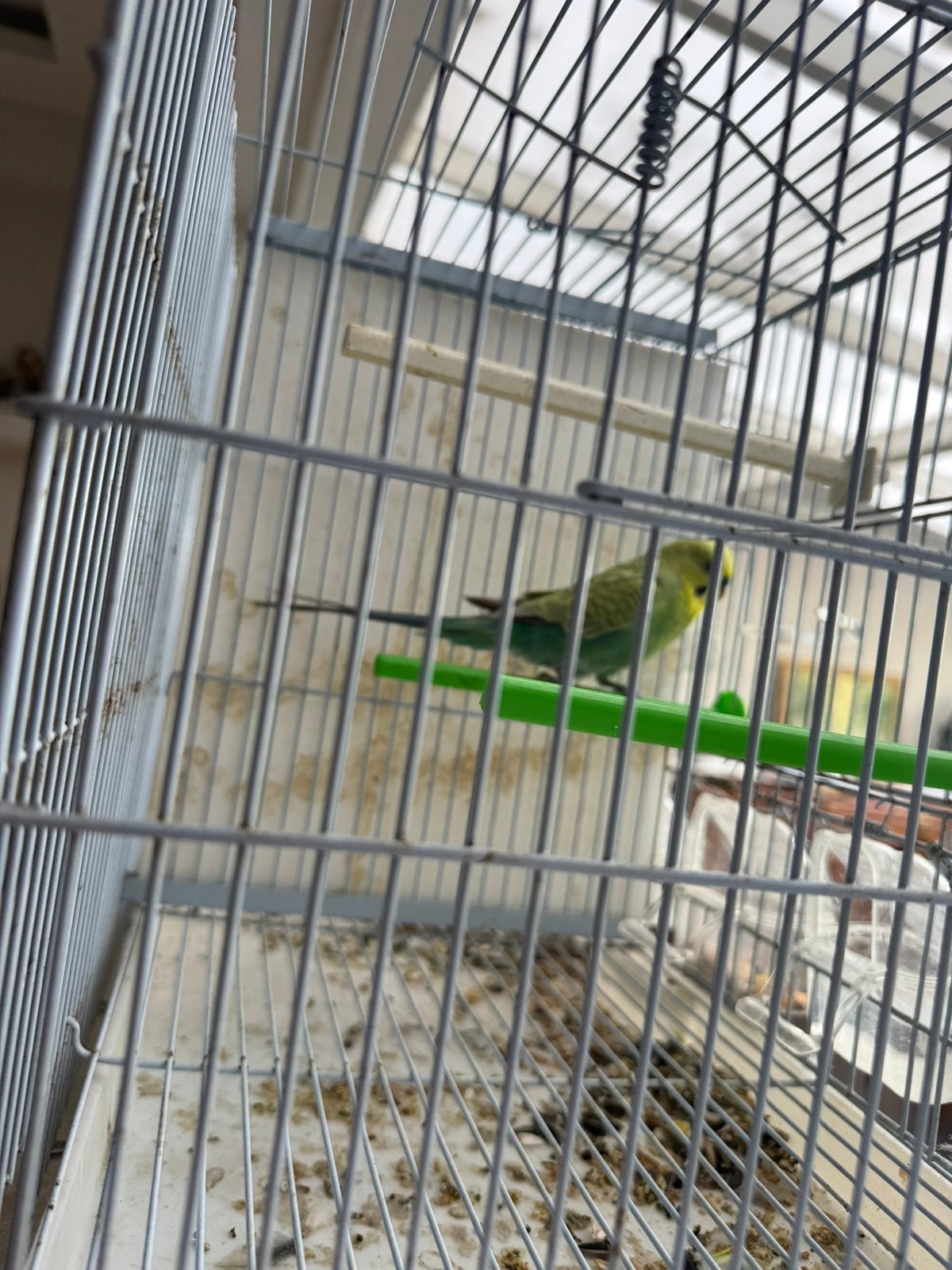 3 Oiseaux