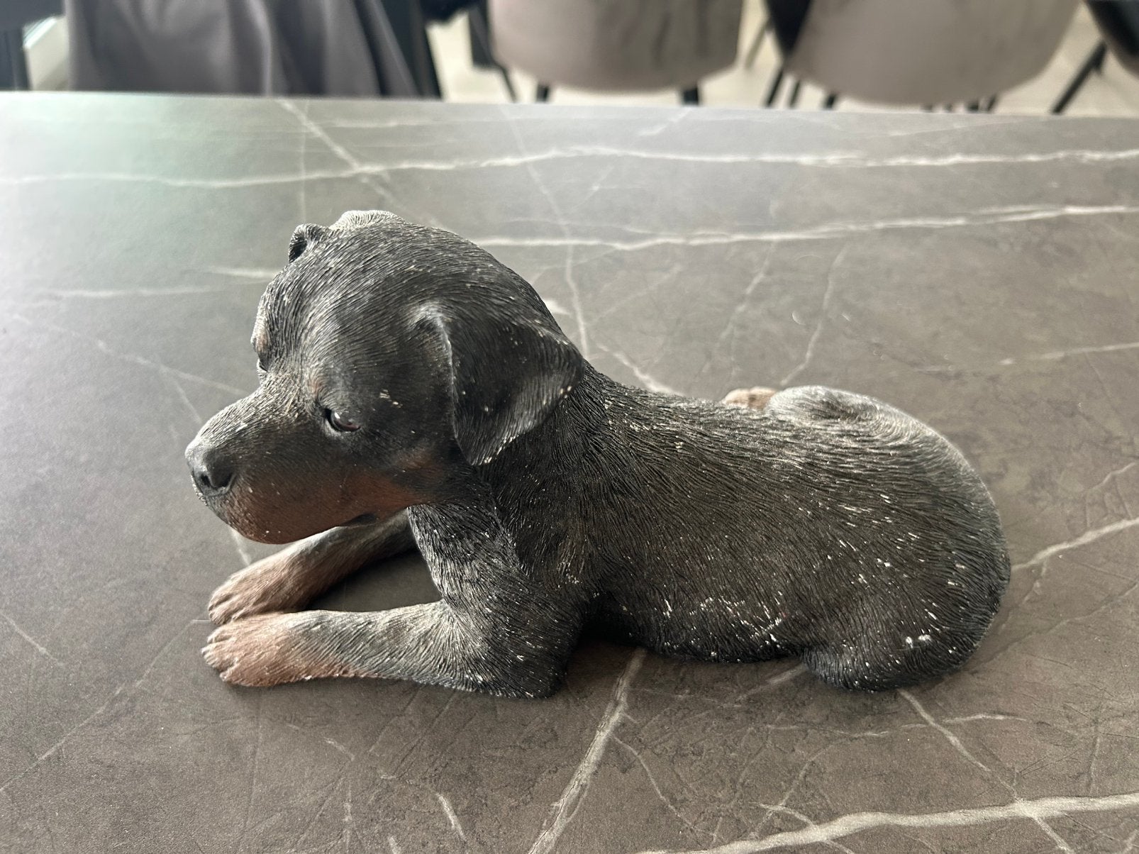 Statue de Rottweiler, Enlèvement