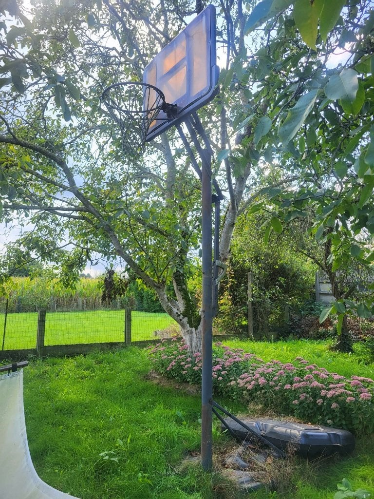 Basketbal ring twee standen, Ophalen, Gebruikt