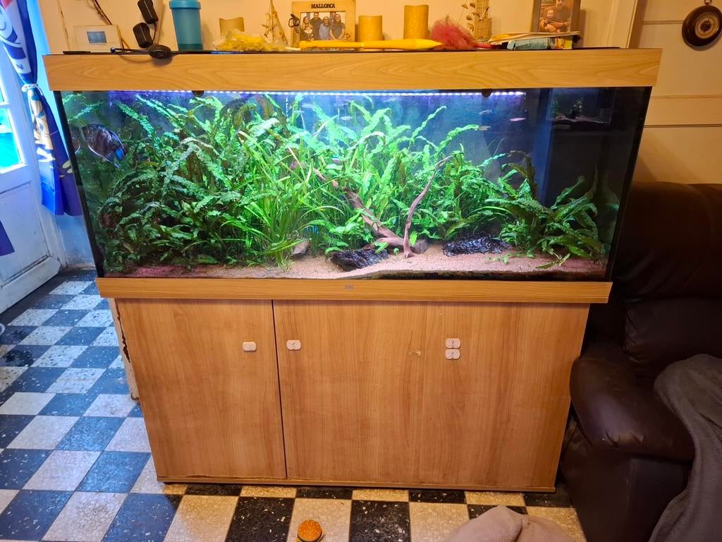 Aquarium 450litre, Enlèvement ou Envoi