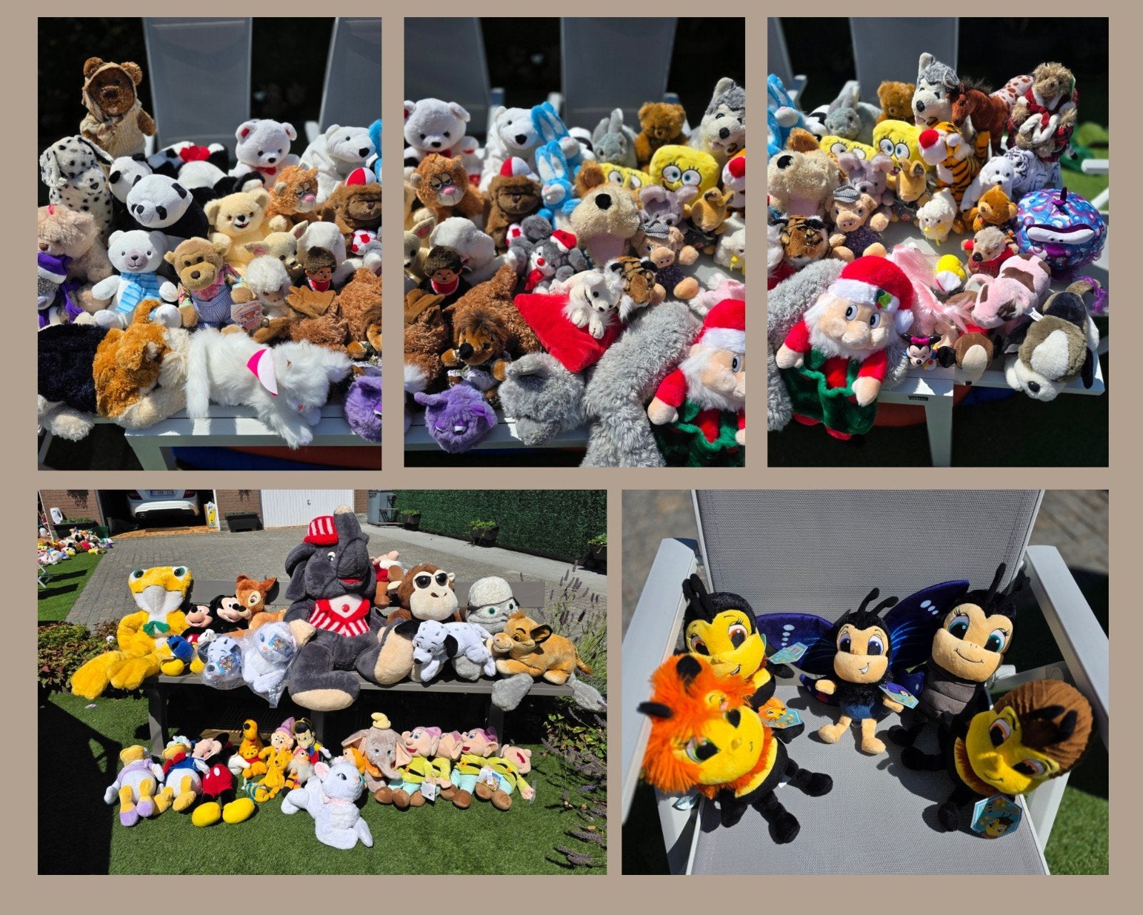différents ours en peluche Disney, unis, Enlèvement