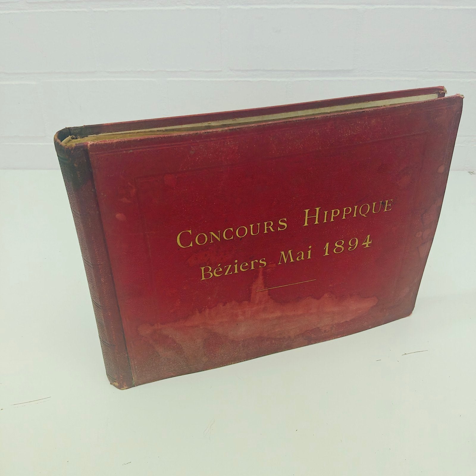 Origineel fotoalbum Concours Hippique Béziers 1894, Antiek en Kunst, Ophalen of Verzenden