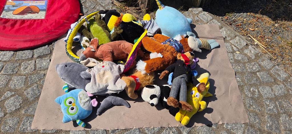 Lot knuffels (18 stuks), Overige karakters, Ophalen, Zo goed als nieuw, Overige typen