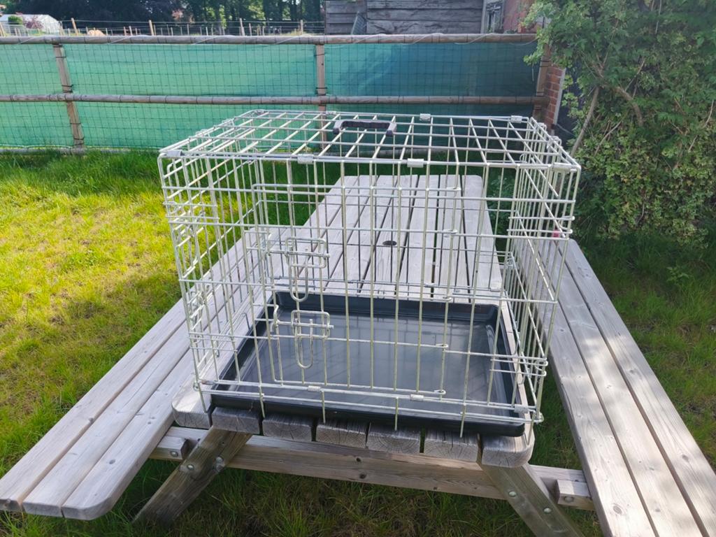 Bench voor kleine hond, Ophalen, Gebruikt