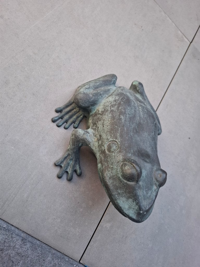 Bronzen kikker, Enlèvement, Bronze