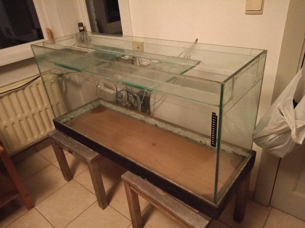 Terrarium landschildpad, Dieren en Toebehoren, Schildpad