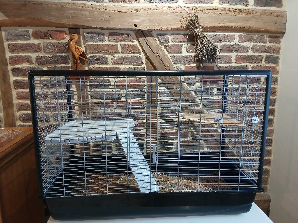 Cage rongeurs, Animaux & Accessoires, Chinchilla, 75 à 110 cm, Cage, Comme neuf