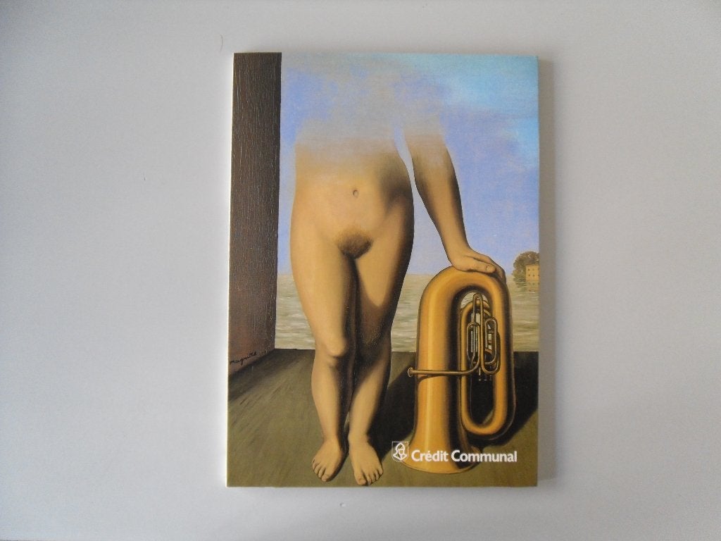 Du Réalisme au Surréalisme en Belgique, Boeken, Kunst en Cultuur | Beeldend, Ophalen of Verzenden, Gelezen, Schilder- en Tekenkunst