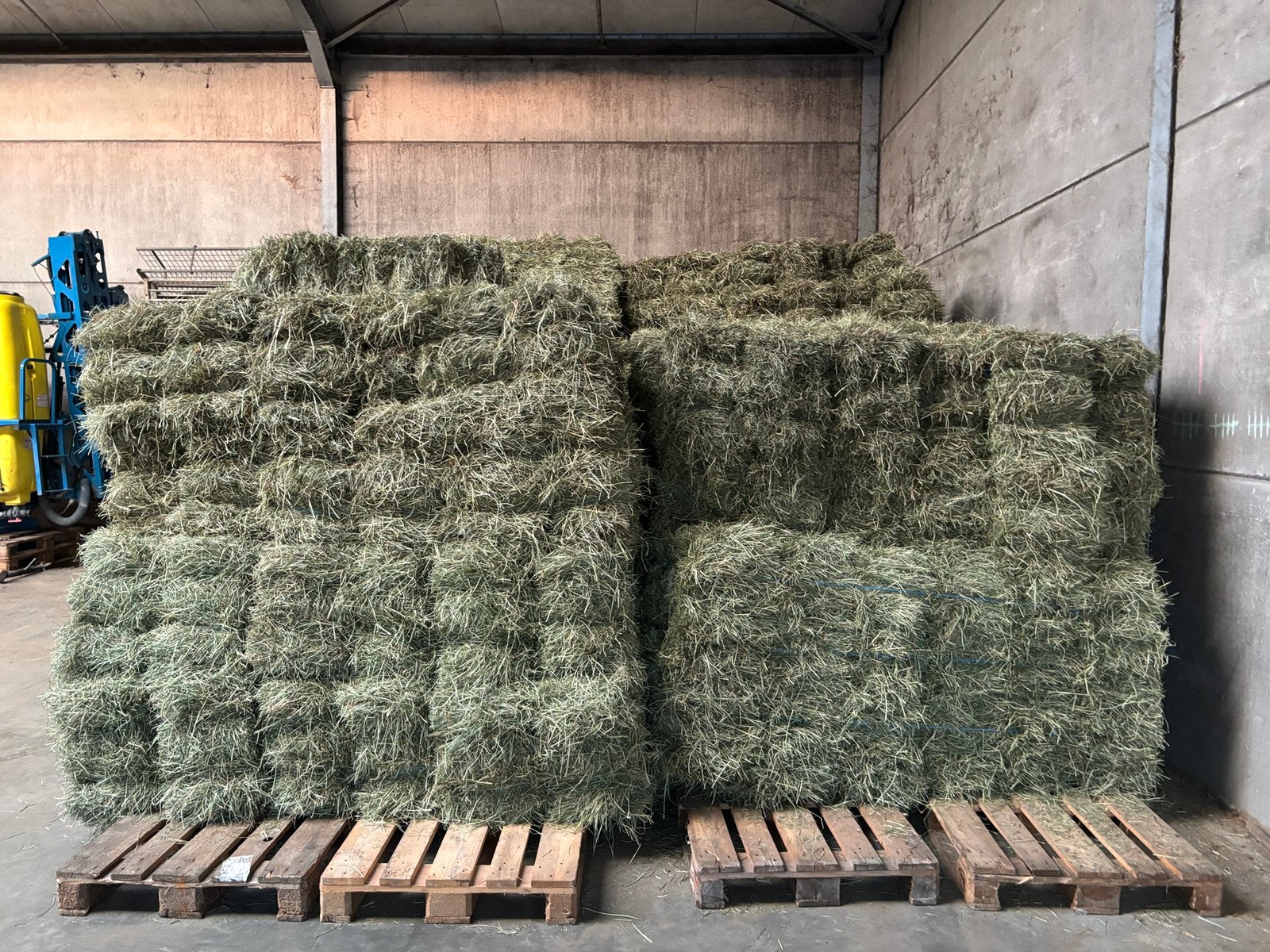 Verse kleine balen hooi te koop