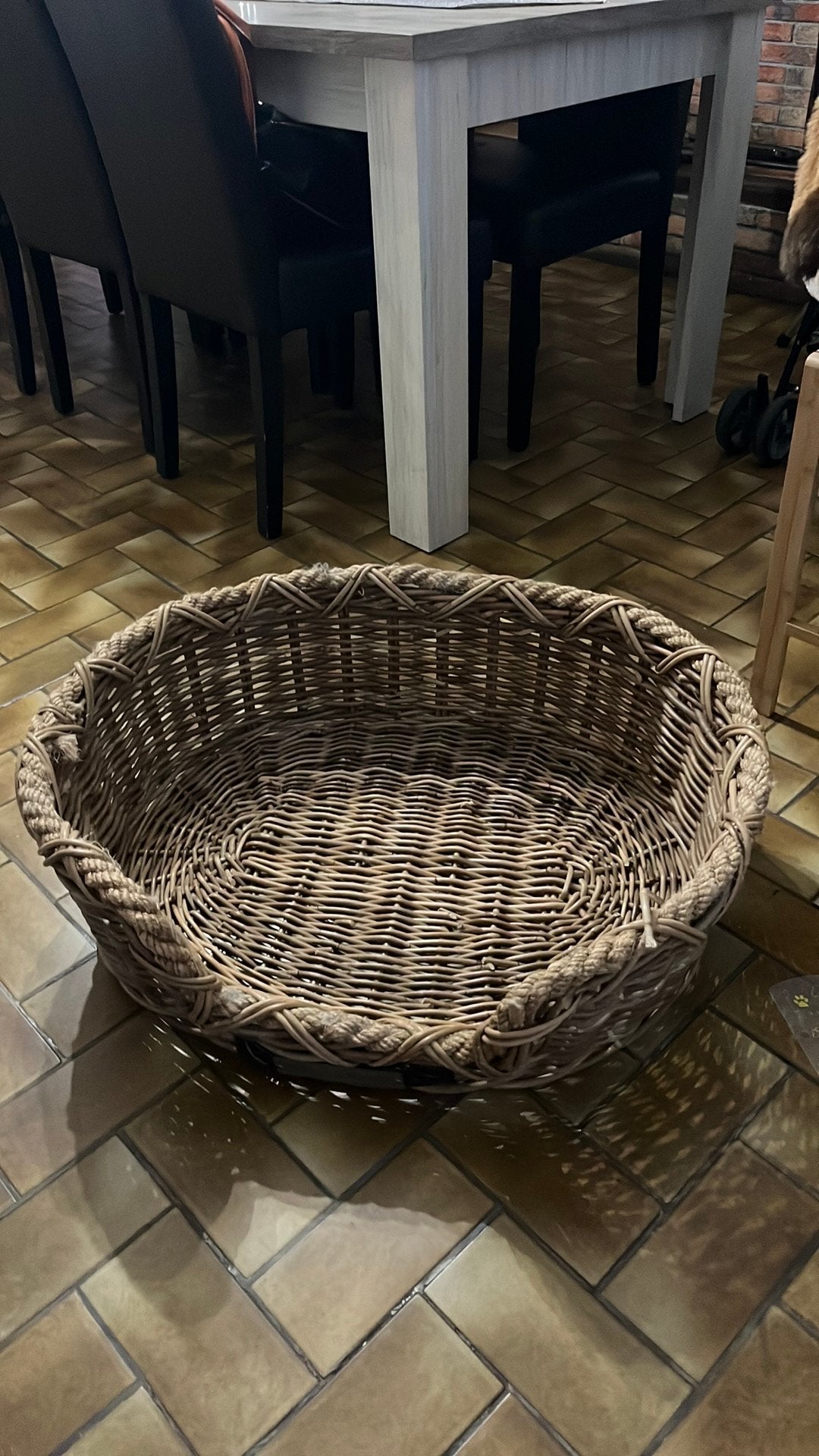Panier pour chiens, Animaux & Accessoires, Enlèvement, Utilisé, Autre
