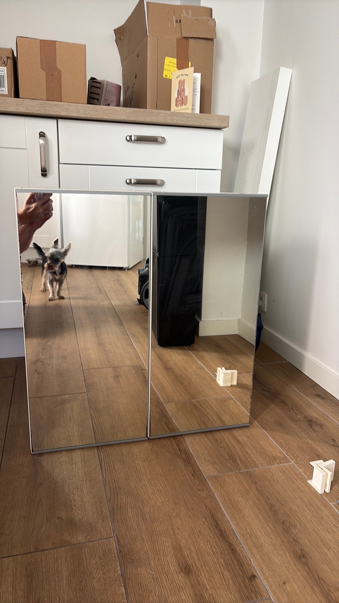 Spiegelkast, Ophalen, 50 tot 100 cm, Minder dan 25 cm, Minder dan 100 cm