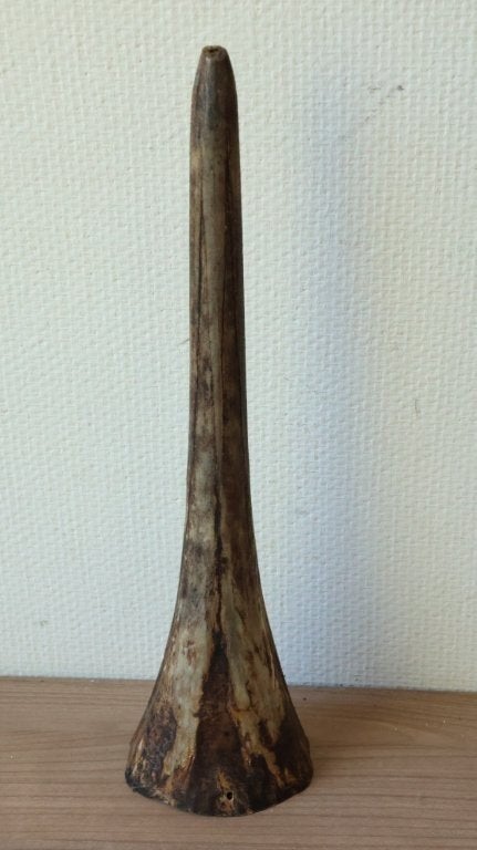 Taxidermie oude rostrum, Ophalen of Verzenden, Gebruikt, Overige soorten, Overige typen