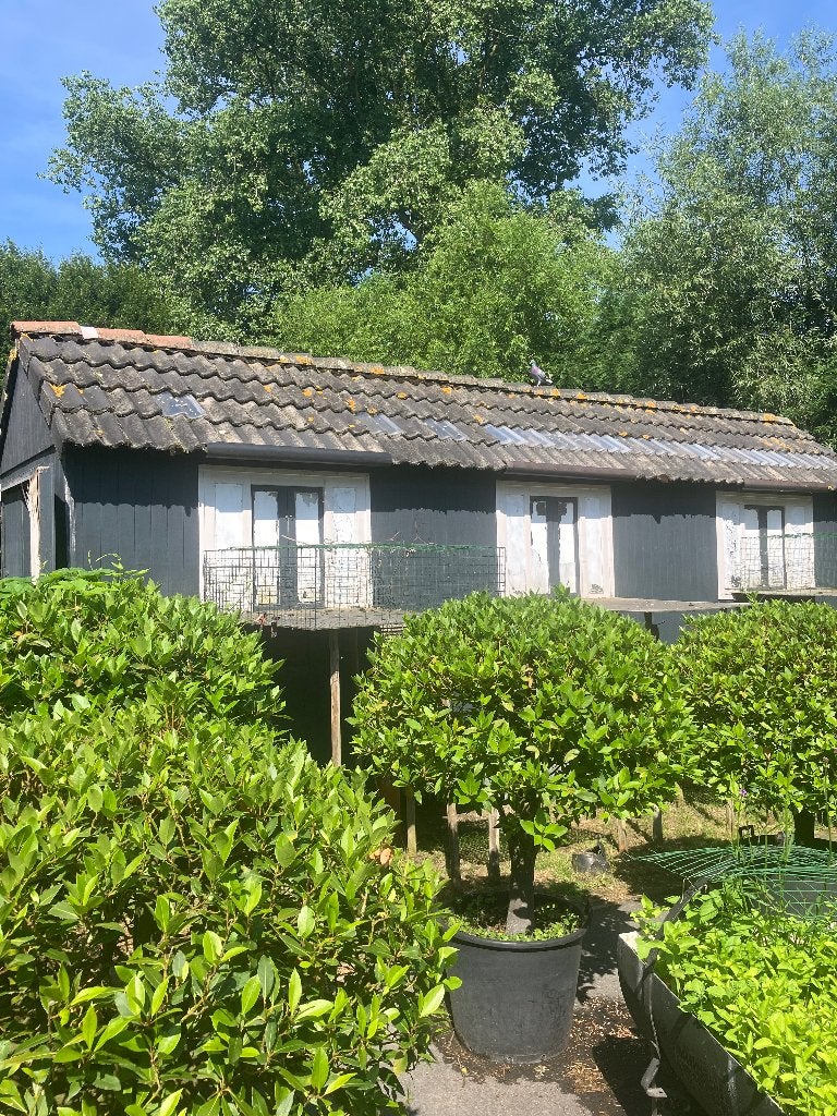 Duivenhok, Ophalen