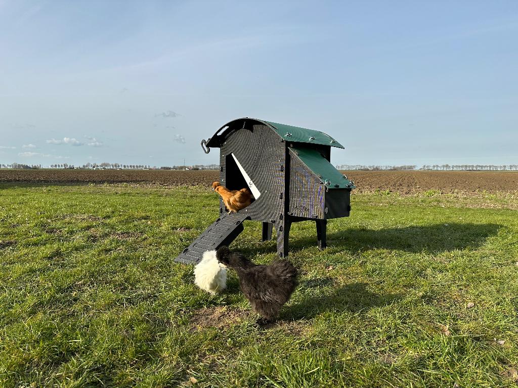Kunststof Kippenhok – Nestera Small Op Pootjes, Dieren en Toebehoren, Ophalen of Verzenden, Nieuw, Kippenhok of Kippenren
