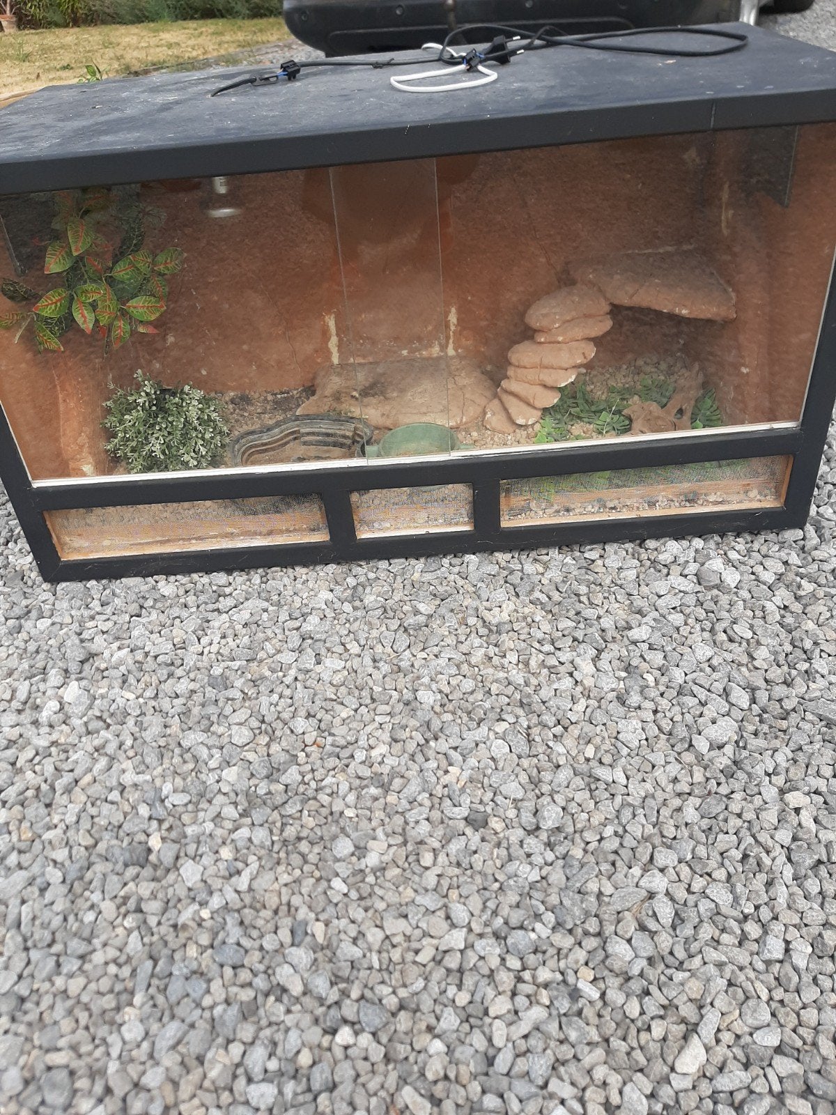 terrarium, Enlèvement