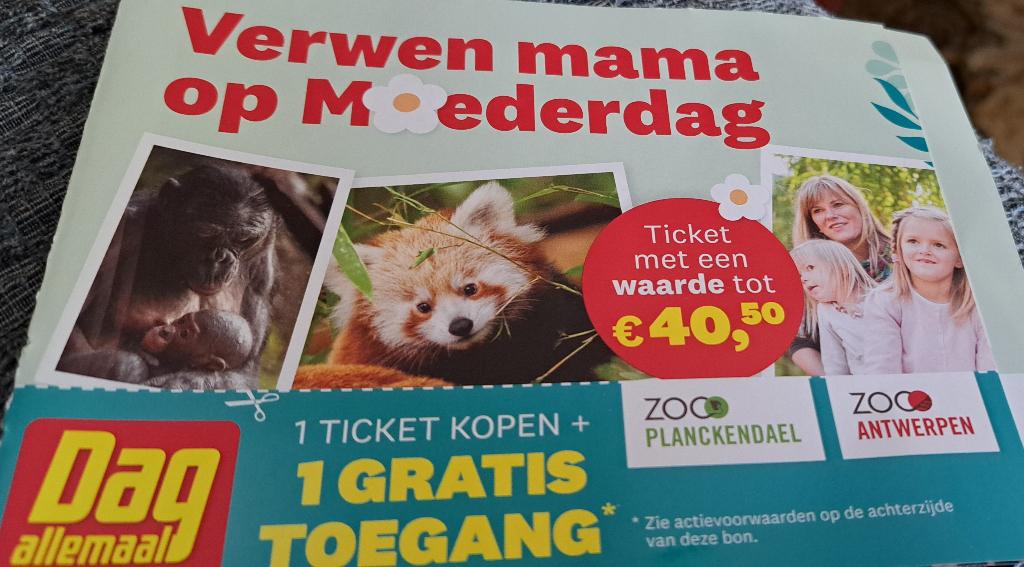 Ticket Zoo Antwerpen, Zoo Plankendael, Eén persoon, Ticket of Toegangskaart