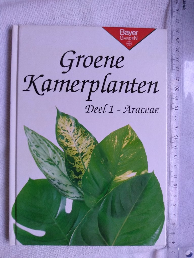 groene kamerplanten Araceae Bayer, Enlèvement ou Envoi