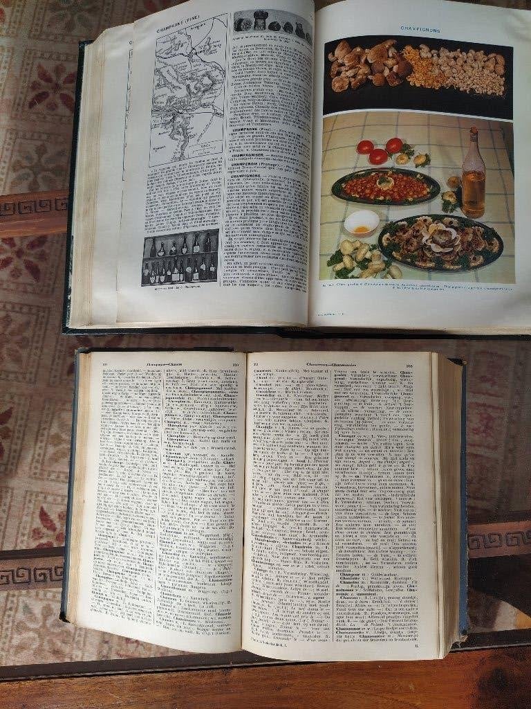 Dictionnaires anciens, Larousse, Enlèvement, Utilisé, Français
