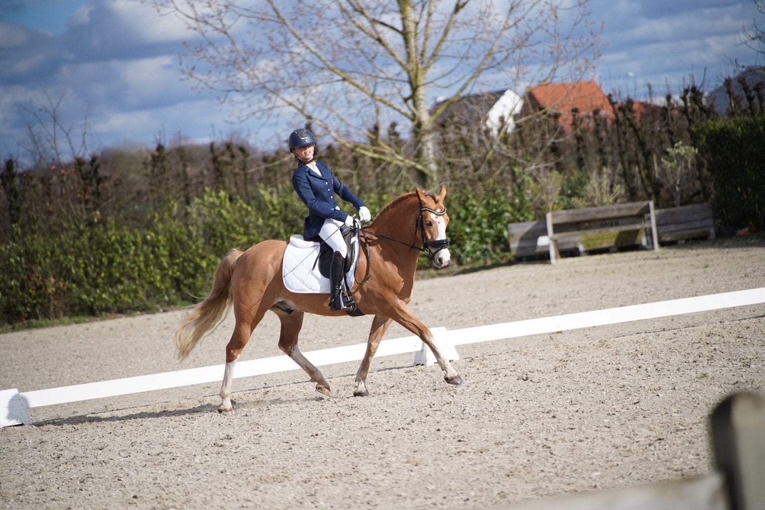 Veelzijdige 8-jarige D-pony –dressuur, springen buitenritten, Animaux & Accessoires, Poney de dressage, Hongre, Avec puce électronique