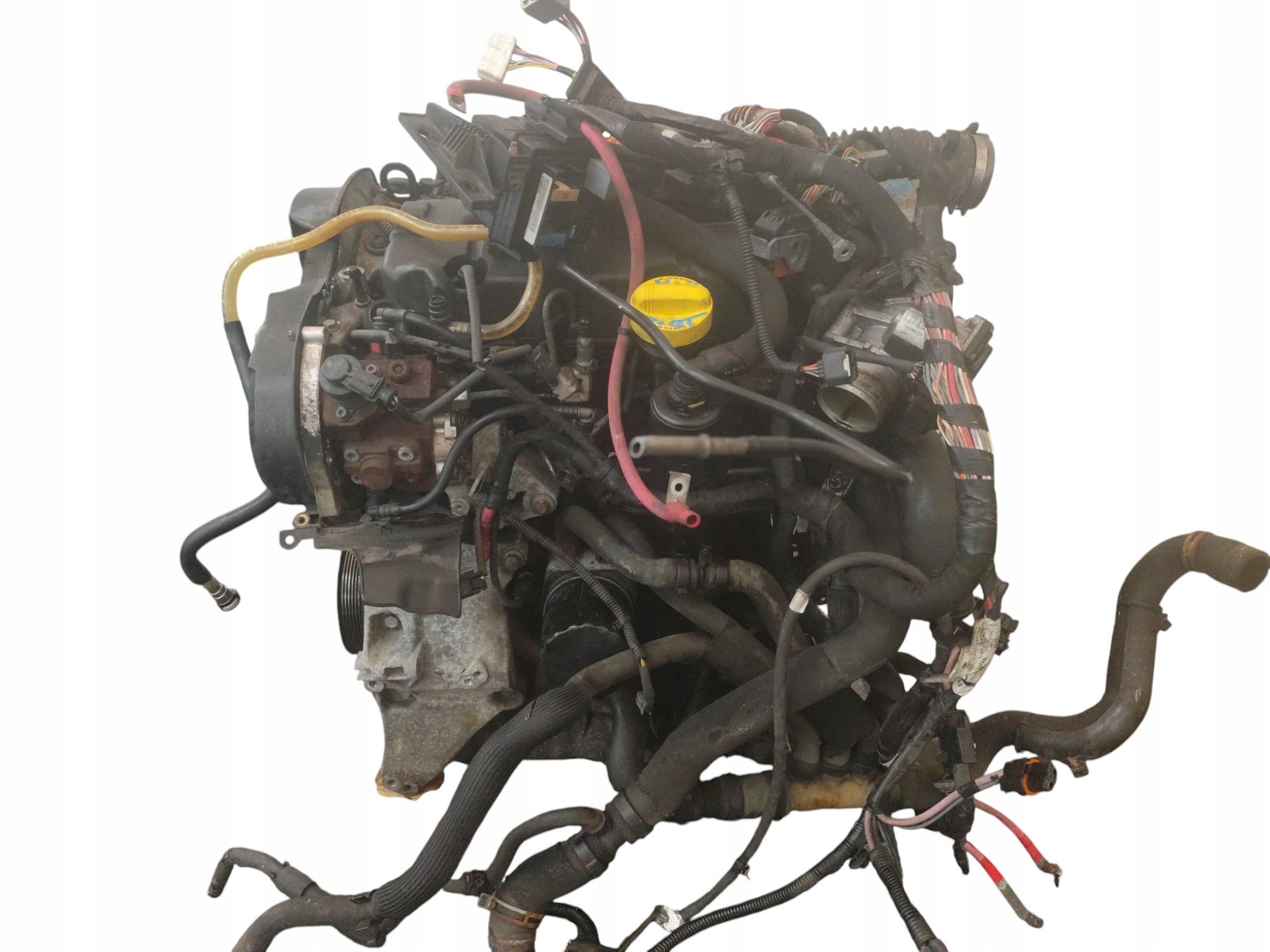 Moteur F9Q804 Complet RENAULT SCENIC