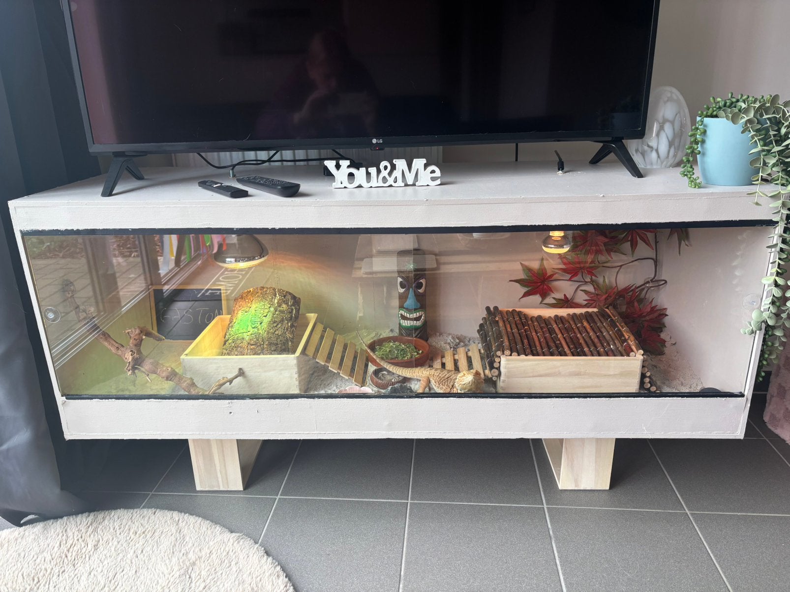 Mooie tv kast terrarium, Ophalen, Zo goed als nieuw