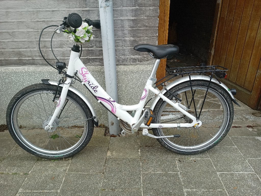 2 fietsen 20 inch, Enlèvement, Utilisé, 20 pouces, Vitesses