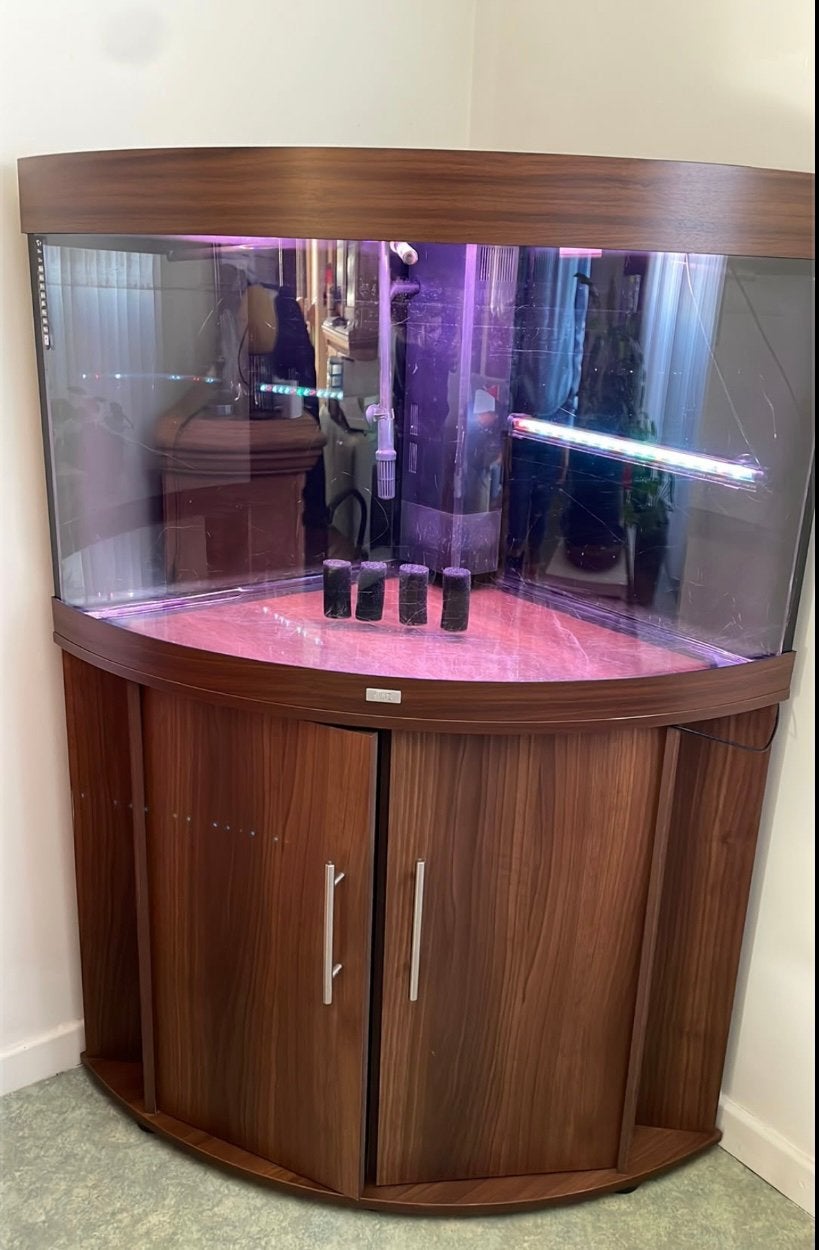 Juwel trigion aquarium, Ophalen, Zo goed als nieuw, Juwel