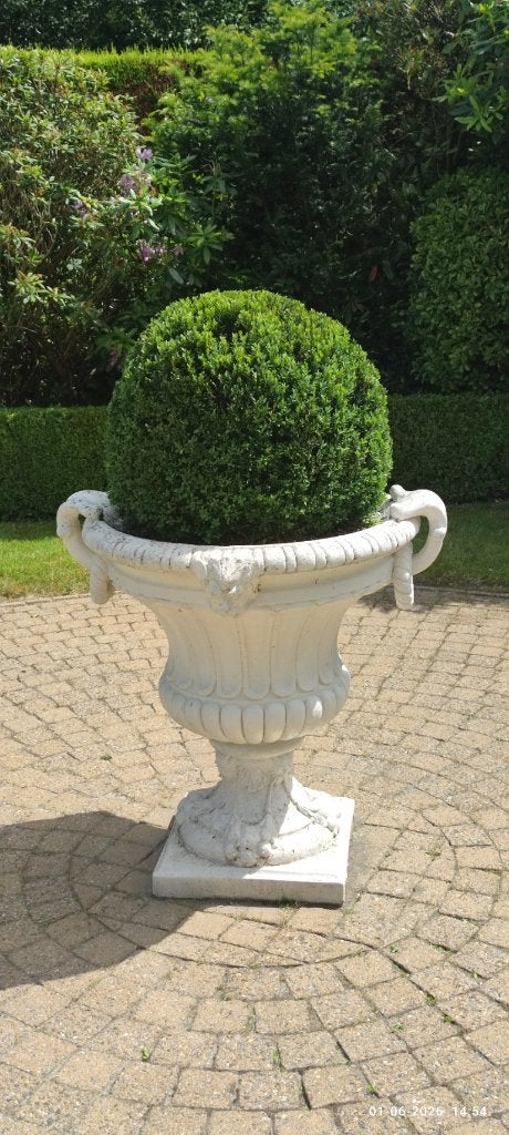 Statue de jardin en béton (+ buis), Enlèvement, Utilisé, Béton, Autres types