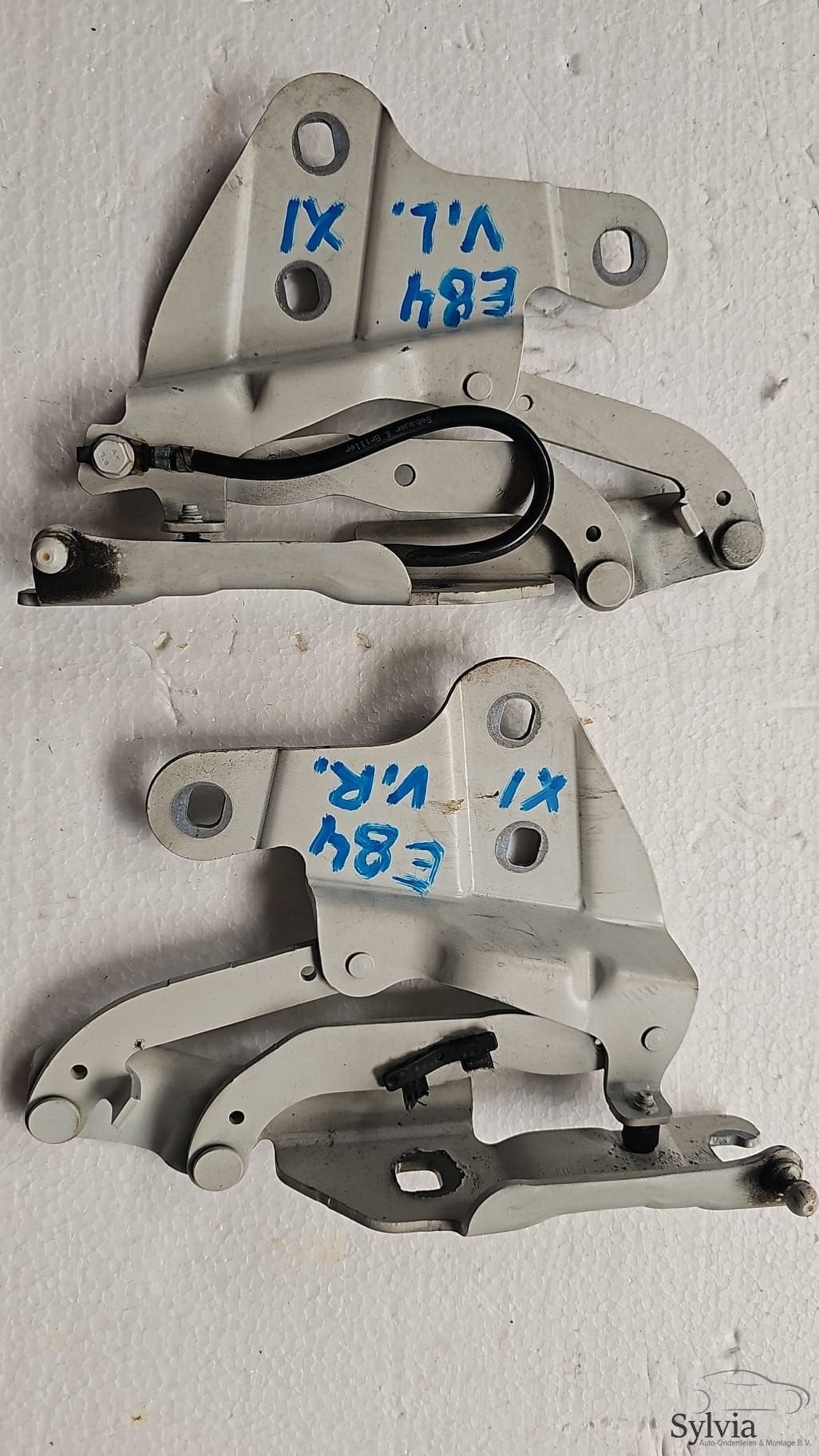 Motorkap scharnier set BMW X1 E84 41002993149 41002993150, -, Utilisé, -, -