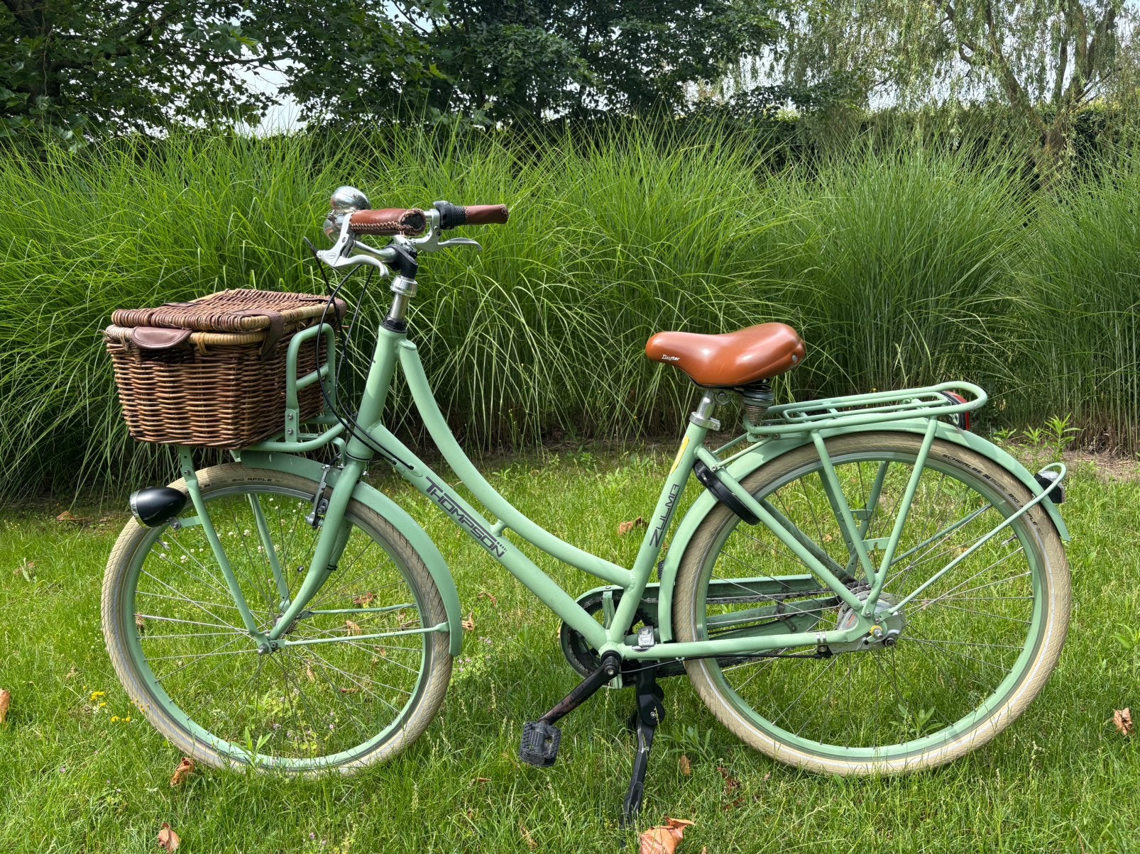Thompson Zulma Vrouwenfiets Lichtgroen, Autres marques, Vitesses, Frein sur jante, Enlèvement