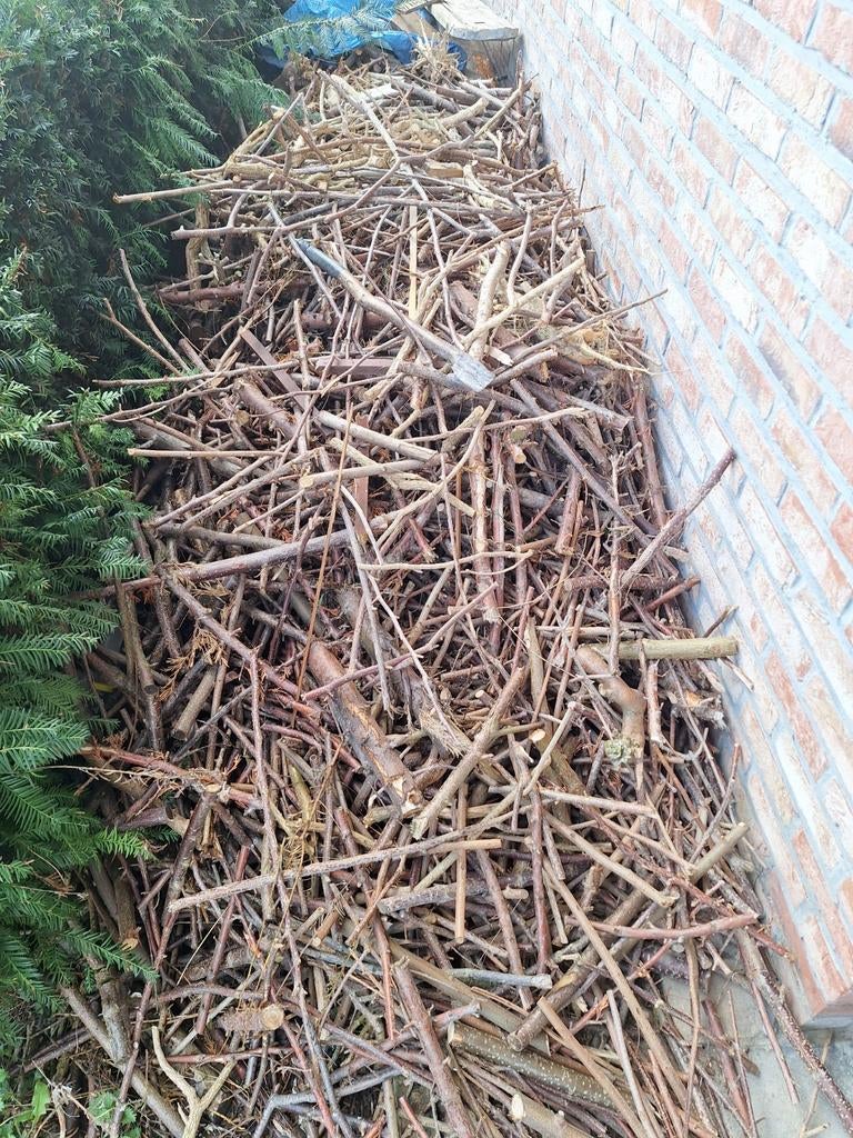 Aanmaak hout, Ophalen of Verzenden