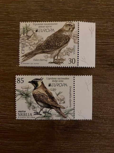 Servie 2021, Mi 1005-1006 Europa CEPT, Ophalen of Verzenden, Overige landen, Postfris