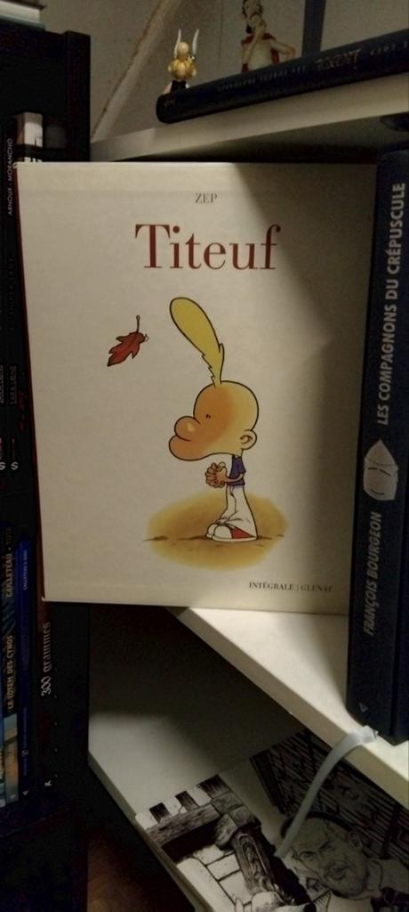 BD Titeuf integrale Glénât eo, Livres, Enlèvement ou Envoi
