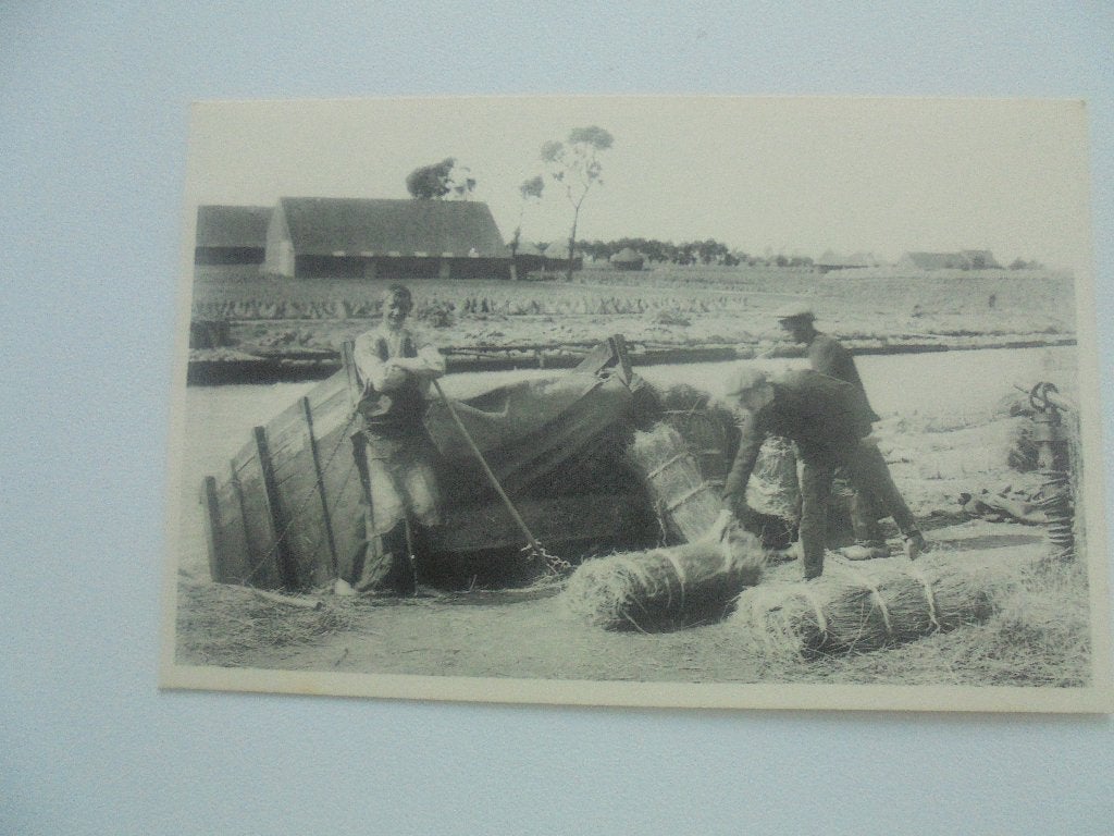 vlasteelt- het roten in de leie, Verzamelen, Postkaarten | België, Verzenden, 1920 tot 1940, Ongelopen, West-Vlaanderen