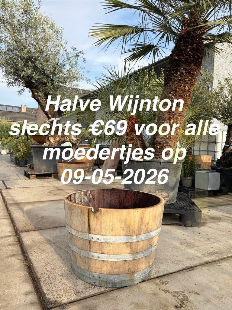 ‼️Moederdag actie ‼️1/2 wijnton aan €69, Tuin en Terras, Ophalen, Zo goed als nieuw