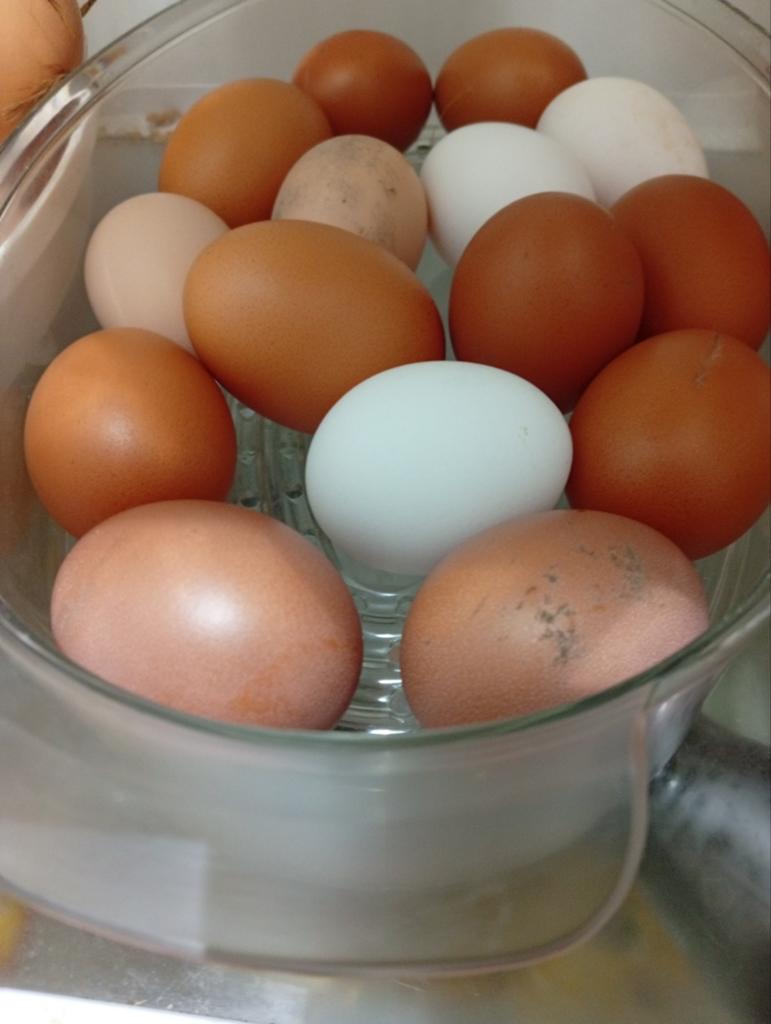 Oeufs frais plein air, Jardin & Terrasse, Alimentation végétale