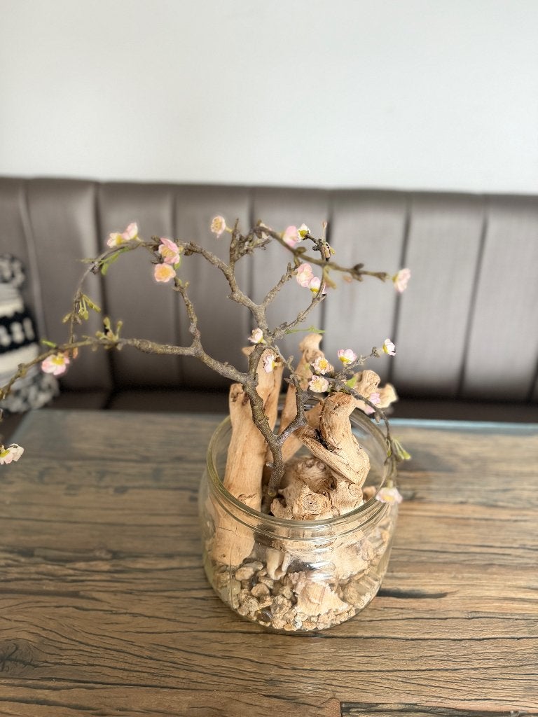 Mooie decoratieve glazen, Enlèvement