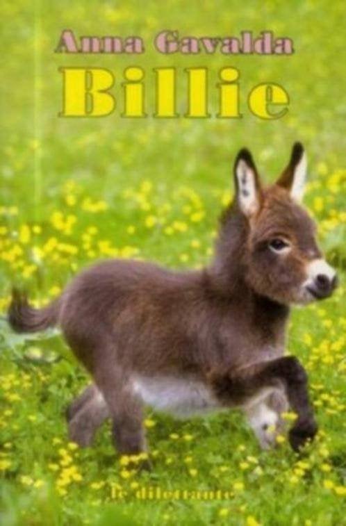 boek: Billie/Anna Gavalda, Enlèvement ou Envoi, Comme neuf, Fiction