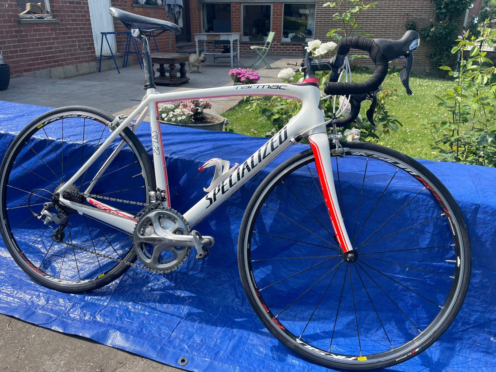 Specialized tarmac, Ophalen of Verzenden, Zo goed als nieuw, Carbon