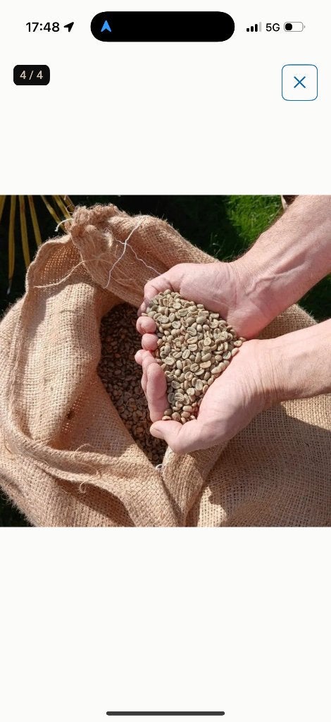 Groene Arabica koffiebonen Peru, Ophalen