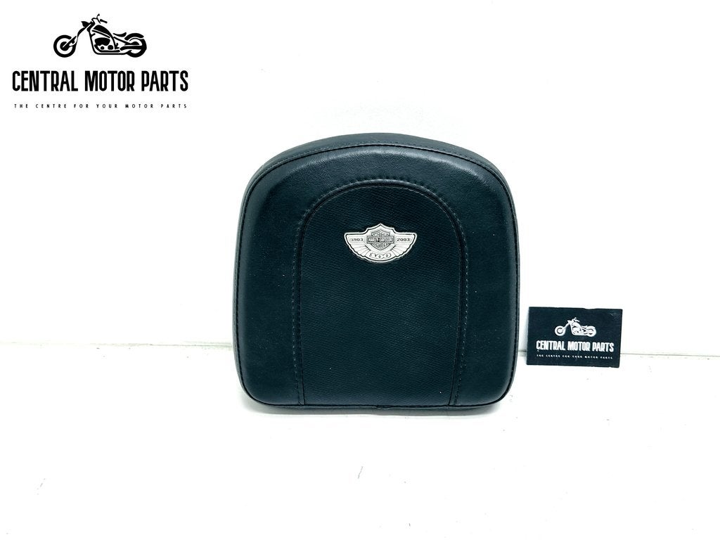 Coussin Sissy Bar 100e anniversaire - 2, Enlèvement ou Envoi, Utilisé