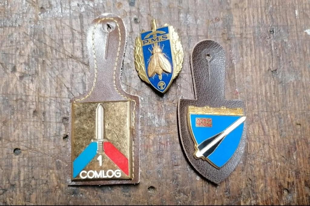 Insigne militaire comlog 402 RAA pms, Collections, Envoi, Autres, Ruban, Médaille ou Ailes