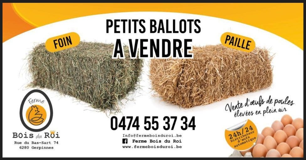 Petits ballots foin / paille, Zakelijke goederen, Landbouw | Veevoer, Ophalen