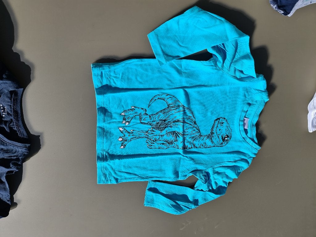 licht blauwe t-shirt, longsleef met dino, CA, 98, Enfants & Bébés, Vêtements enfant | Taille 98, Enlèvement, Comme neuf