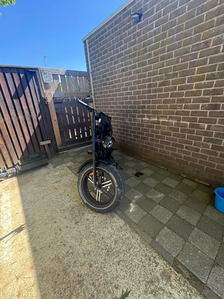 Ape ryder a10 speciaal edition, Fietsen en Brommers, Elektrische fietsen, Zo goed als nieuw, Overige merken, 59 cm of meer, 50 km per accu of meer