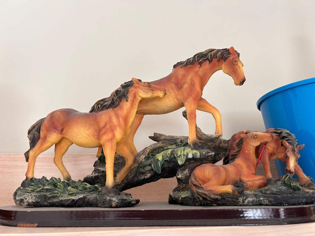 Paardendecoratie, Tickets & Billets, Loisirs | Jardins zoologiques